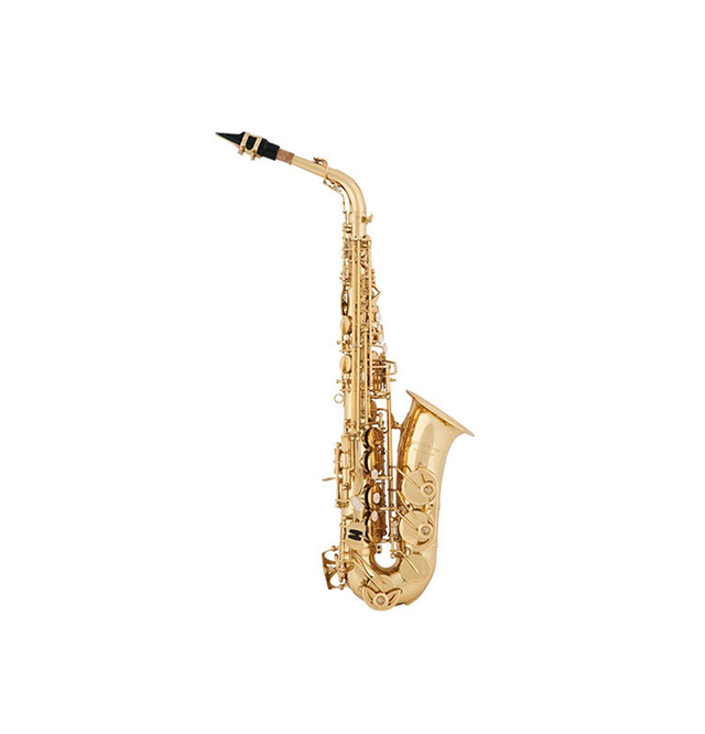 Saxophone for sale shop takealot